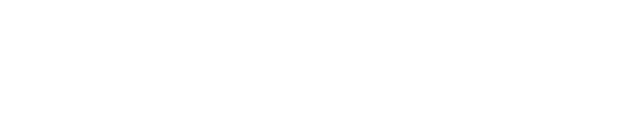 De AI Storm
